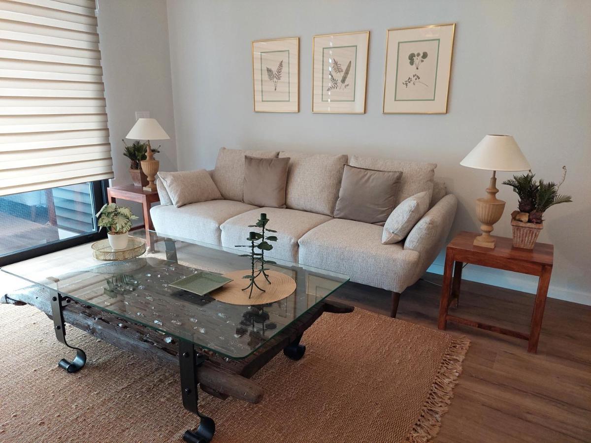 Stunning Lobos View Apartment Camara de Lobos Ngoại thất bức ảnh